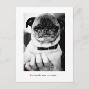 Postal No es un momento emocionado