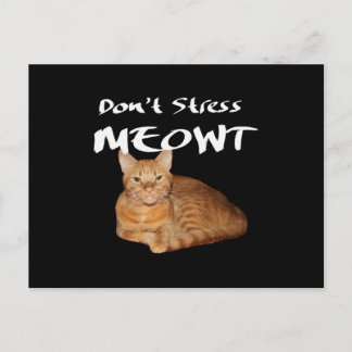 Postal No estreses Michi - Gato naranja estresado