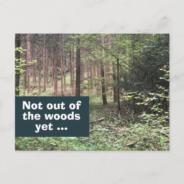 Postal No fuera de los bosques, pero cuarentena en la nat (Anverso)