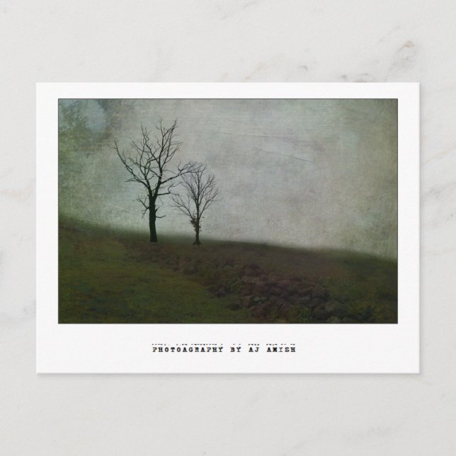 Postal No hables palabras amargas - (Anverso)