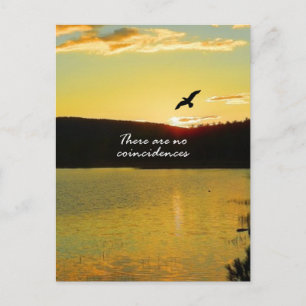 Postal No Hay Coincidencias