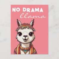 No hay drama llama Bonito gracioso Alpaca Girona r