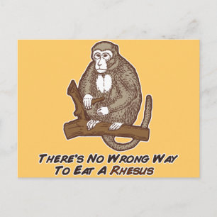 Postal No Hay Manera Errónea De Comer Un Rhesus