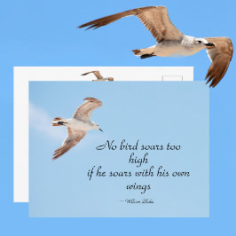 Postal No hay pájaro con una gaviota muy alta en azul vio