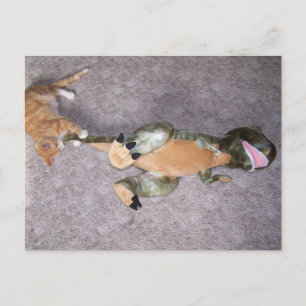 Postal no me asustes Postcard