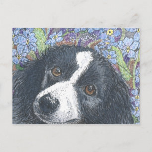 Postal "No me olvides", dijo el Collie de la frontera.