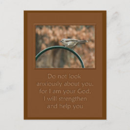 Postal no mires con ansiedad tu pájaro en arco