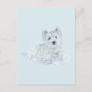 Postal No otro baño