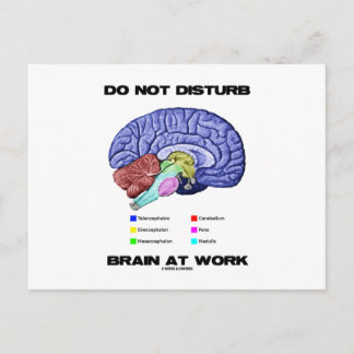 Postal No Perturbar El Cerebro En El Trabajo (Humor Anató