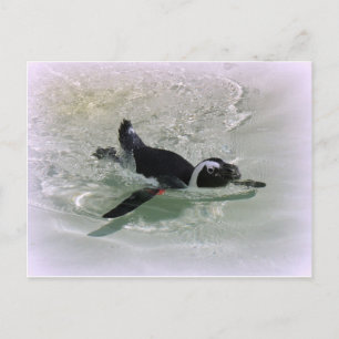 Postal ¡No puedo entristecerse de mirar a un pingüino!