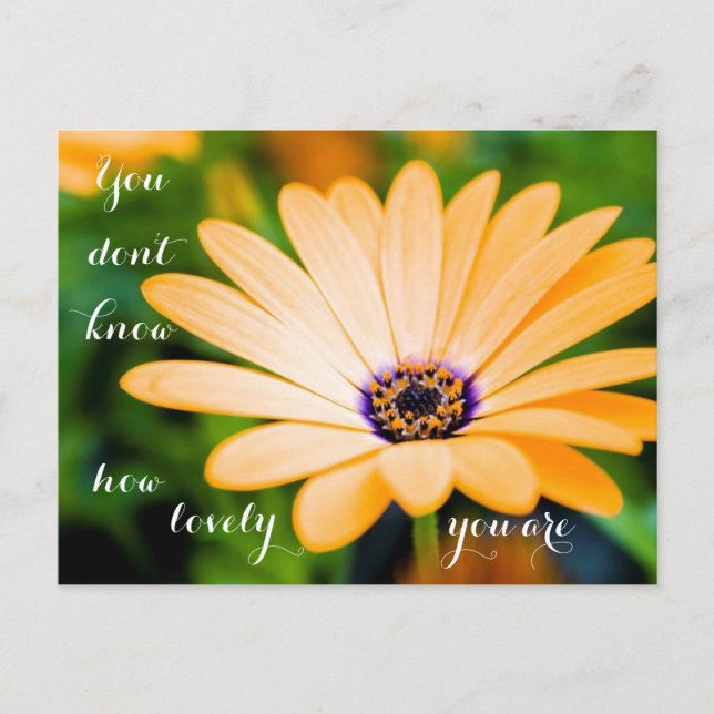 Postal No sabes lo adorable que eres (Anverso)