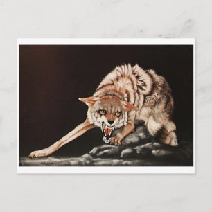 Postal "¡No se metan conmigo!" coyote