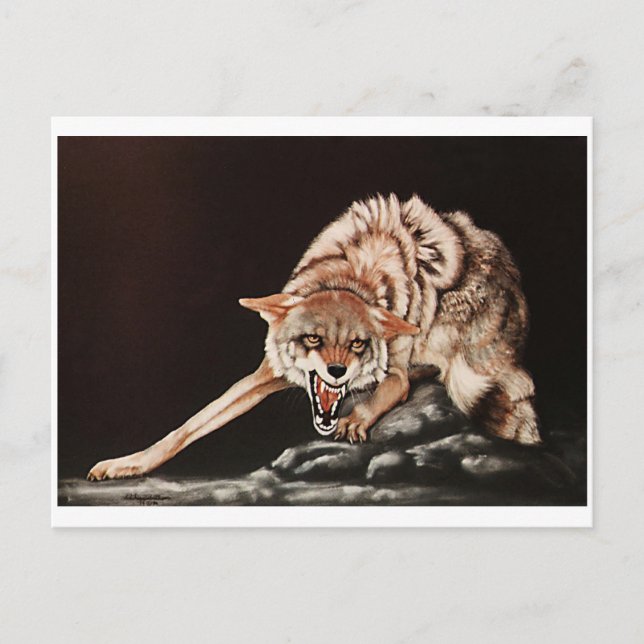 Postal "¡No se metan conmigo!" coyote (Anverso)