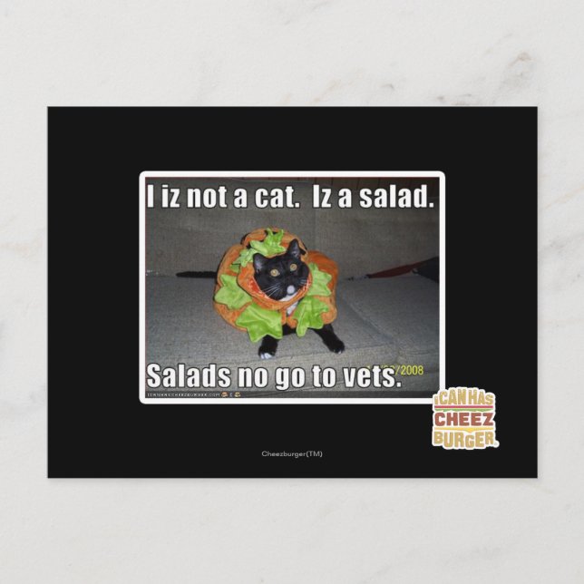 Postal No soy un gato. Es una ensalada. (Anverso)