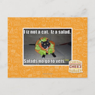 Postal No soy un gato. Es una ensalada.
