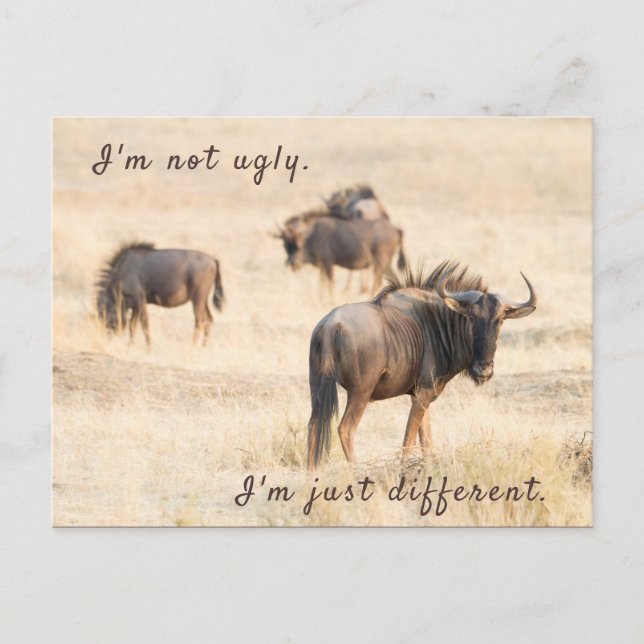 Postal No soy una fea foto de wildebeest con texto (Anverso)