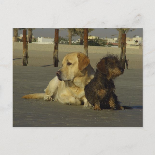 Postal No te hablo (Anverso)