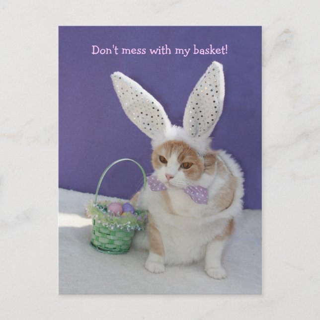 Postal ¡No te metas con mi canasta! (Anverso)