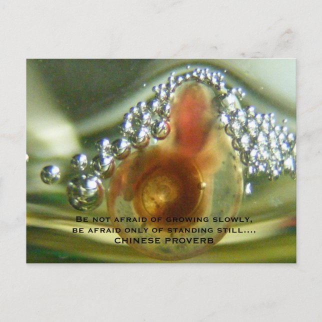 Postal No tenga miedo del crecimiento lentamente, sea… (Anverso)