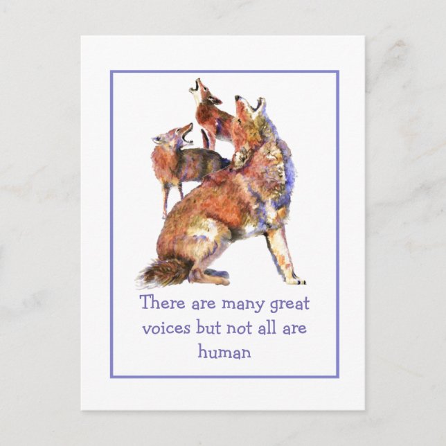 Postal No todos los coyotes Inspiradores humanos de Voice (Anverso)