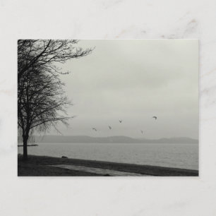 Postal No un día risueno en el lago