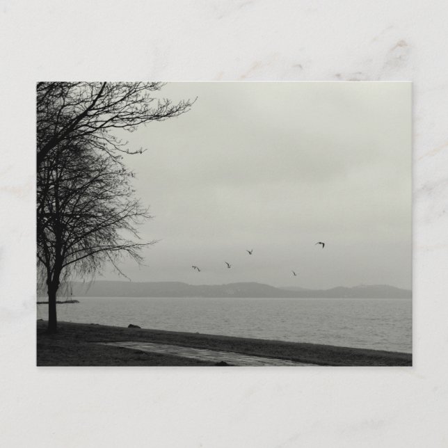 Postal No un día risueno en el lago (Anverso)