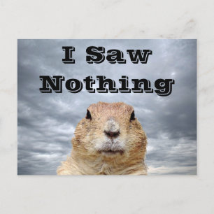 Postal No vi nada en el Día de la Marmota