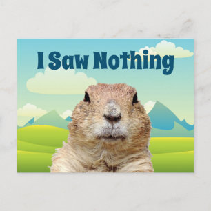 Postal No vi nada en el Día de la Marmota