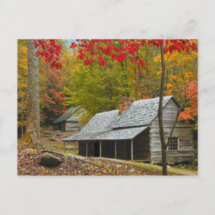 Postal Noah "Bud" Ogle Cabin in the Smokies