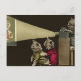 Postal Noche de cine