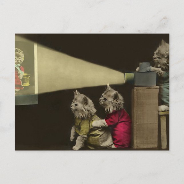 Postal Noche de cine (Anverso)