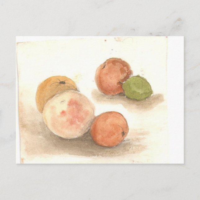 Postal noche de la iguana klassie (Anverso)