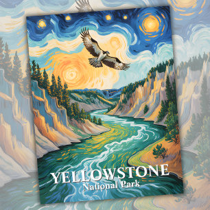 Postal Noche de Osprey Van Gogh Starry