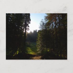 Postal Noche de pradera en el parque nacional Sequoia