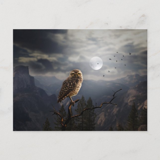 Postal Noche de Scary Halloween (Anverso)