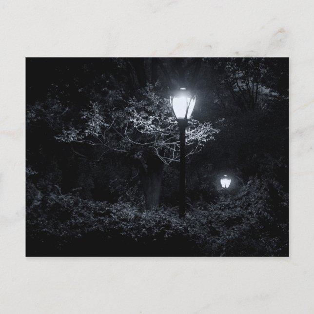 Postal Noche en Central Park, NYC (Anverso)