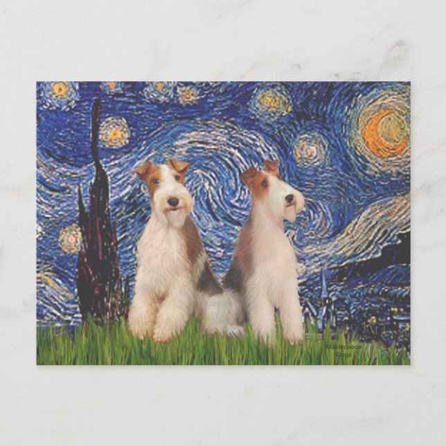 Postal Noche estrellada - Dos Fox Terriers de alambre (Anverso)