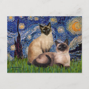 Postal Noche estrellada - Dos gatos siameses (Punto de ch
