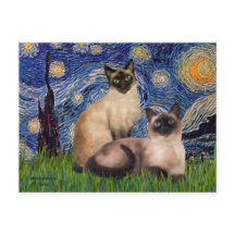 Noche estrellada - Dos gatos siameses (Punto de ch