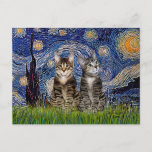 Postal Noche estrellada - Dos gatos tigres atigrados
