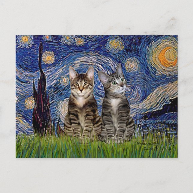 Postal Noche estrellada - Dos gatos tigres atigrados (Anverso)