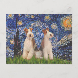 Postal Noche estrellada - Dos hilos Fox Terriers