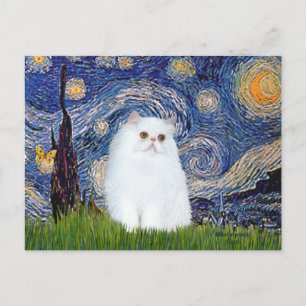 Postal Noche estrellada - gatito persa blanco