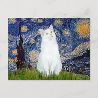 Postal Noche estrellada - gato blanco