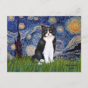 Postal Noche estrellada - Gato blanco y negro