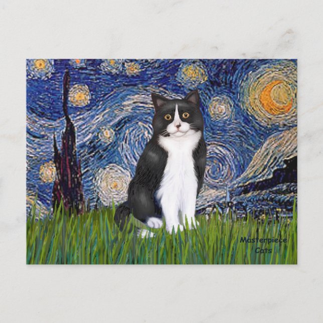 Postal Noche estrellada - Gato blanco y negro (Anverso)