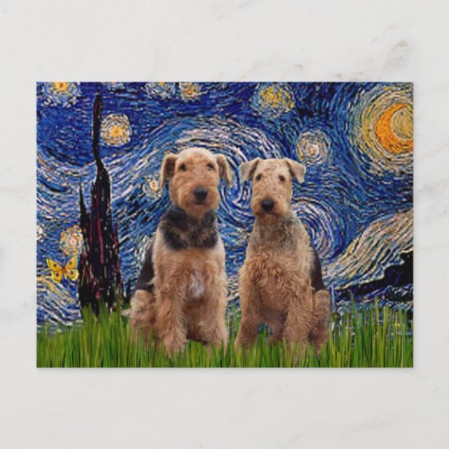 Postal Noche estrellada - Terriers Airedale (dos) (Anverso)