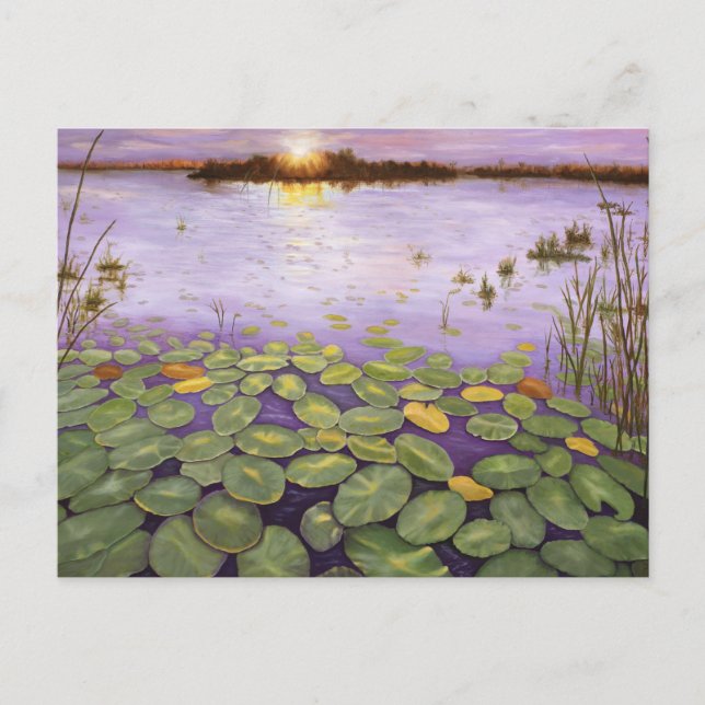 Postal Noche Everglades (Anverso)