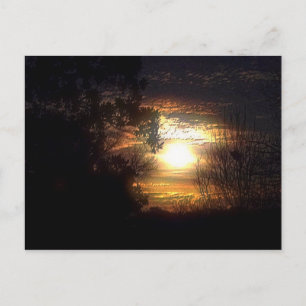 Postal Noche iluminada por la luna