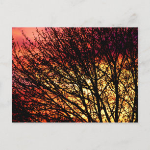 Postal Noche Light Blank Notecard